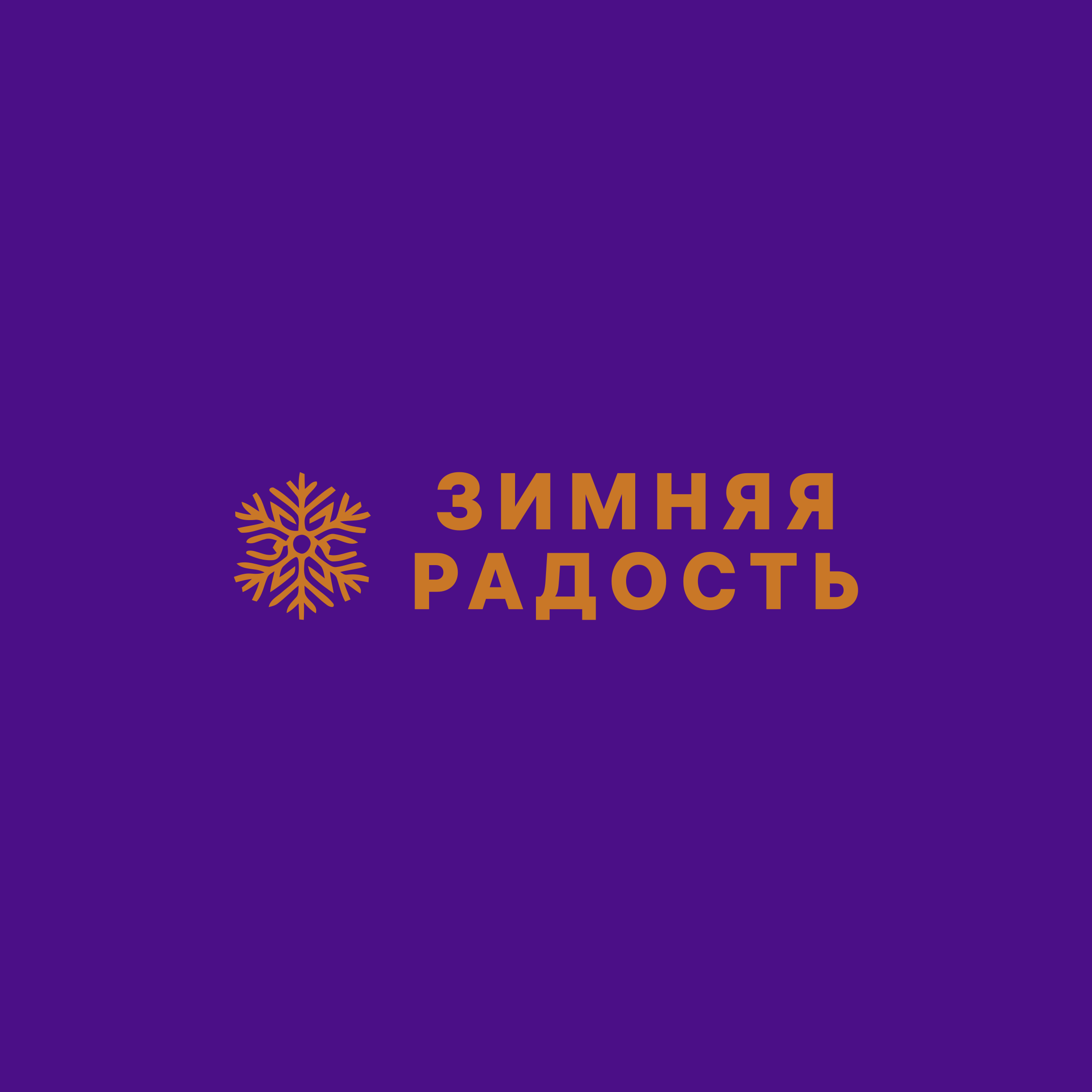 Company logo «Зимняя радость»