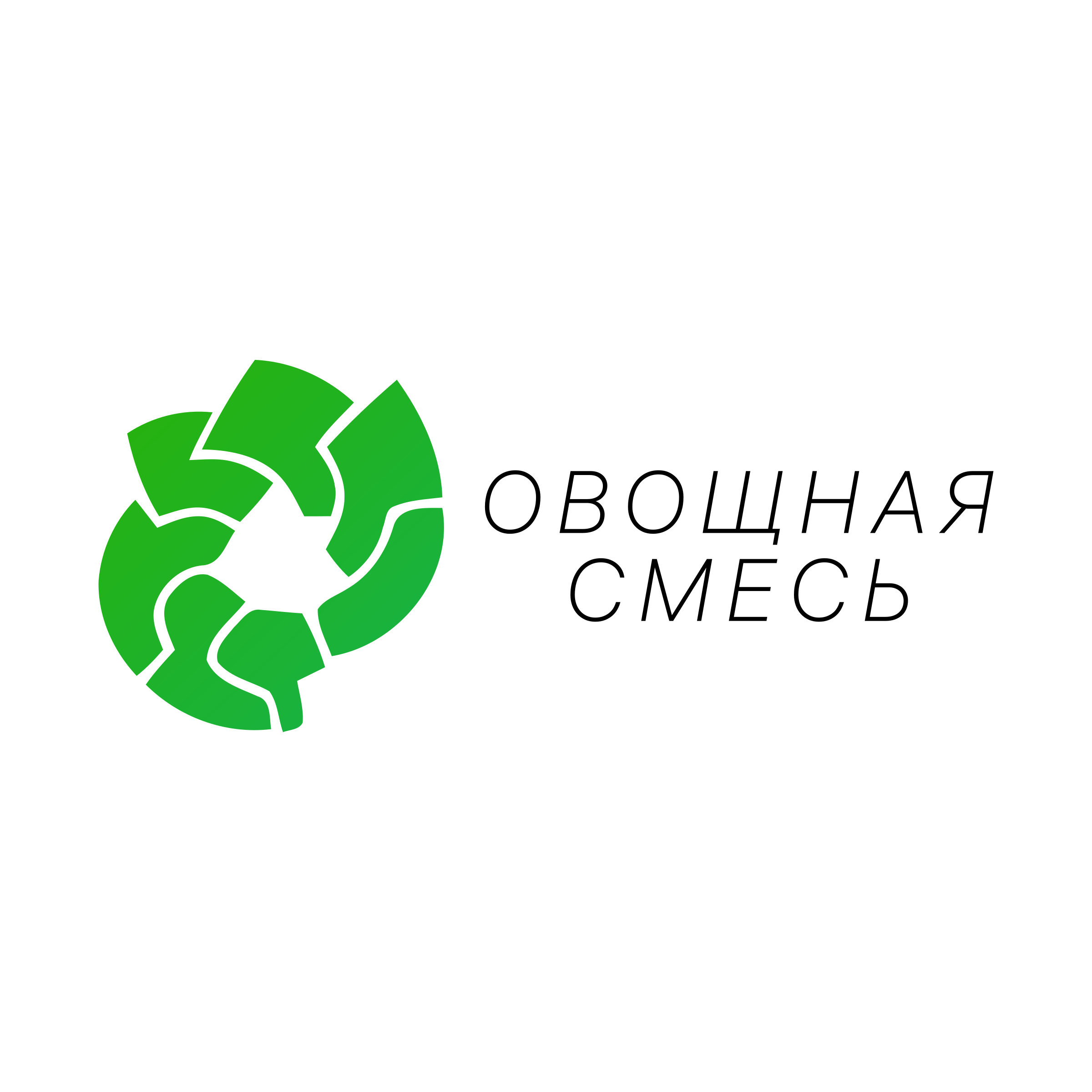 Company logo «овощная смесь»