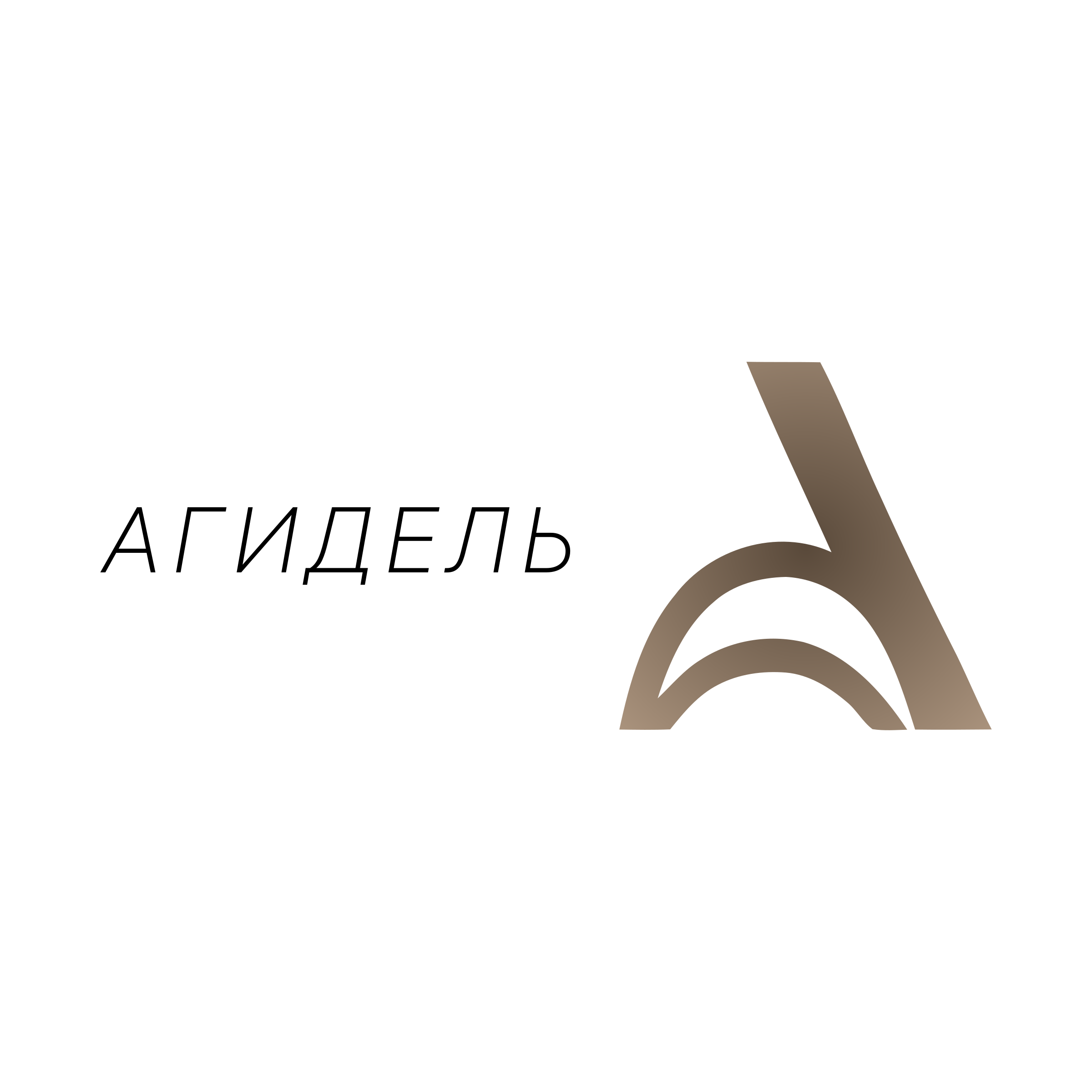 Company logo «Aгидель»