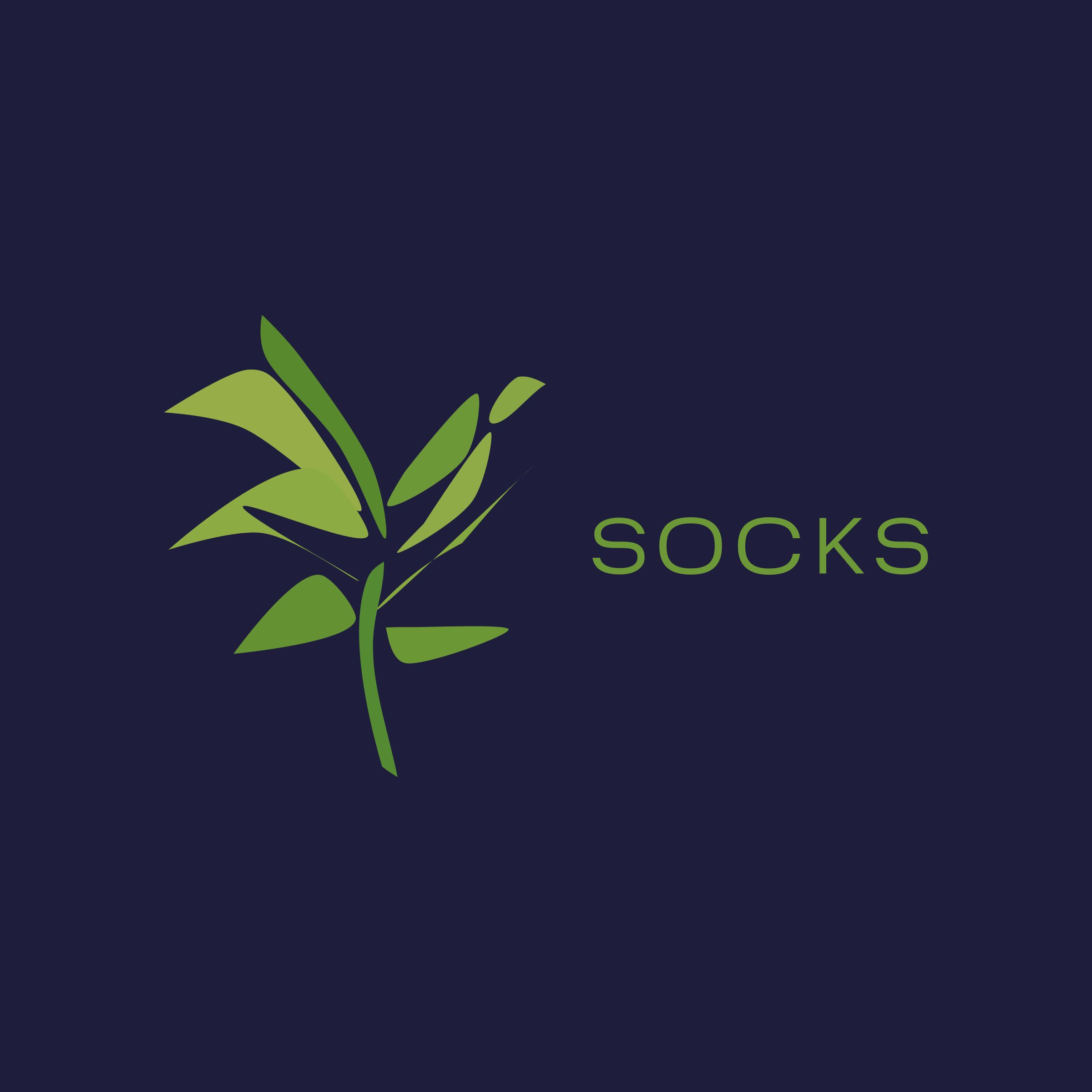 Логотип компании «Socks»