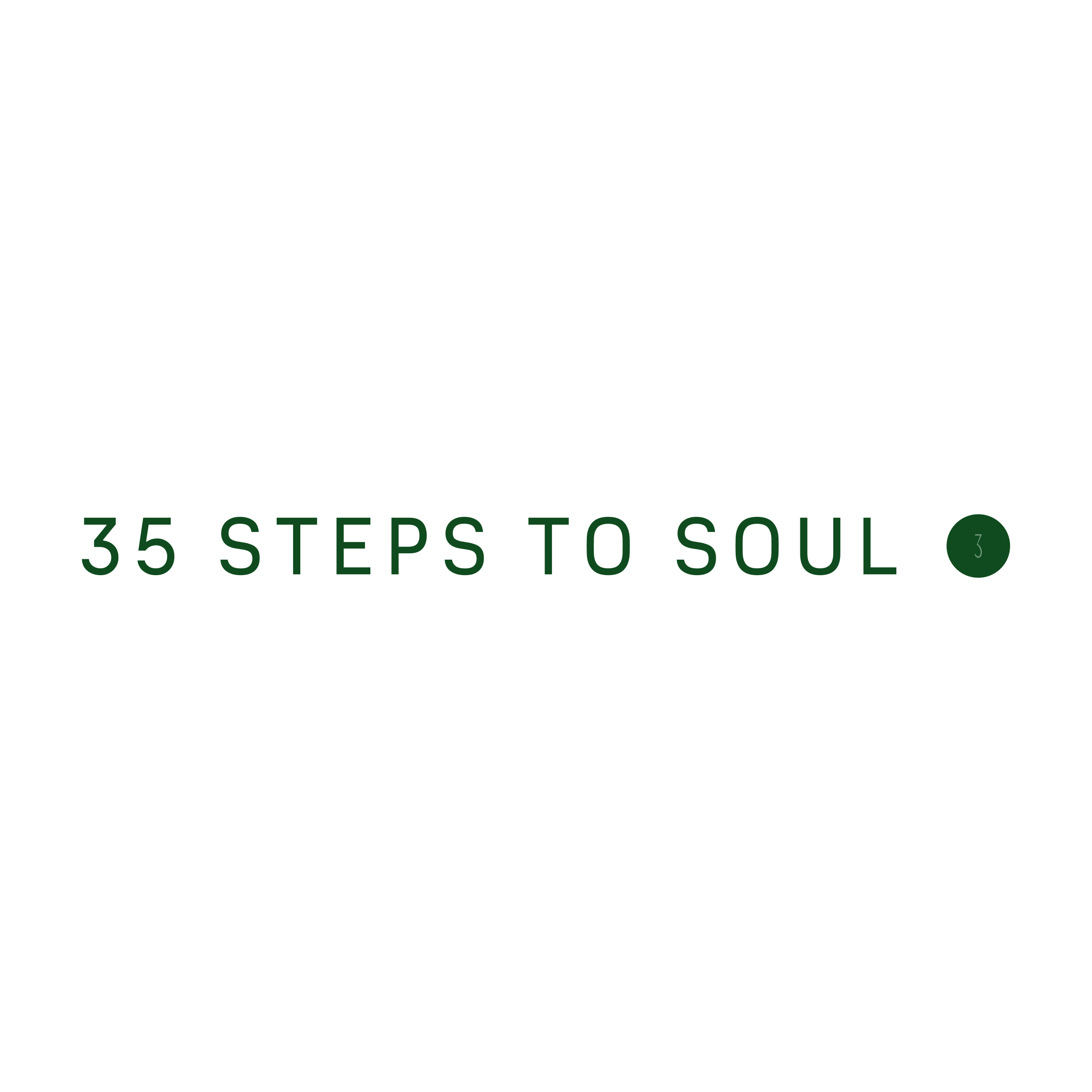 Company logo «35 Steps to Soul»