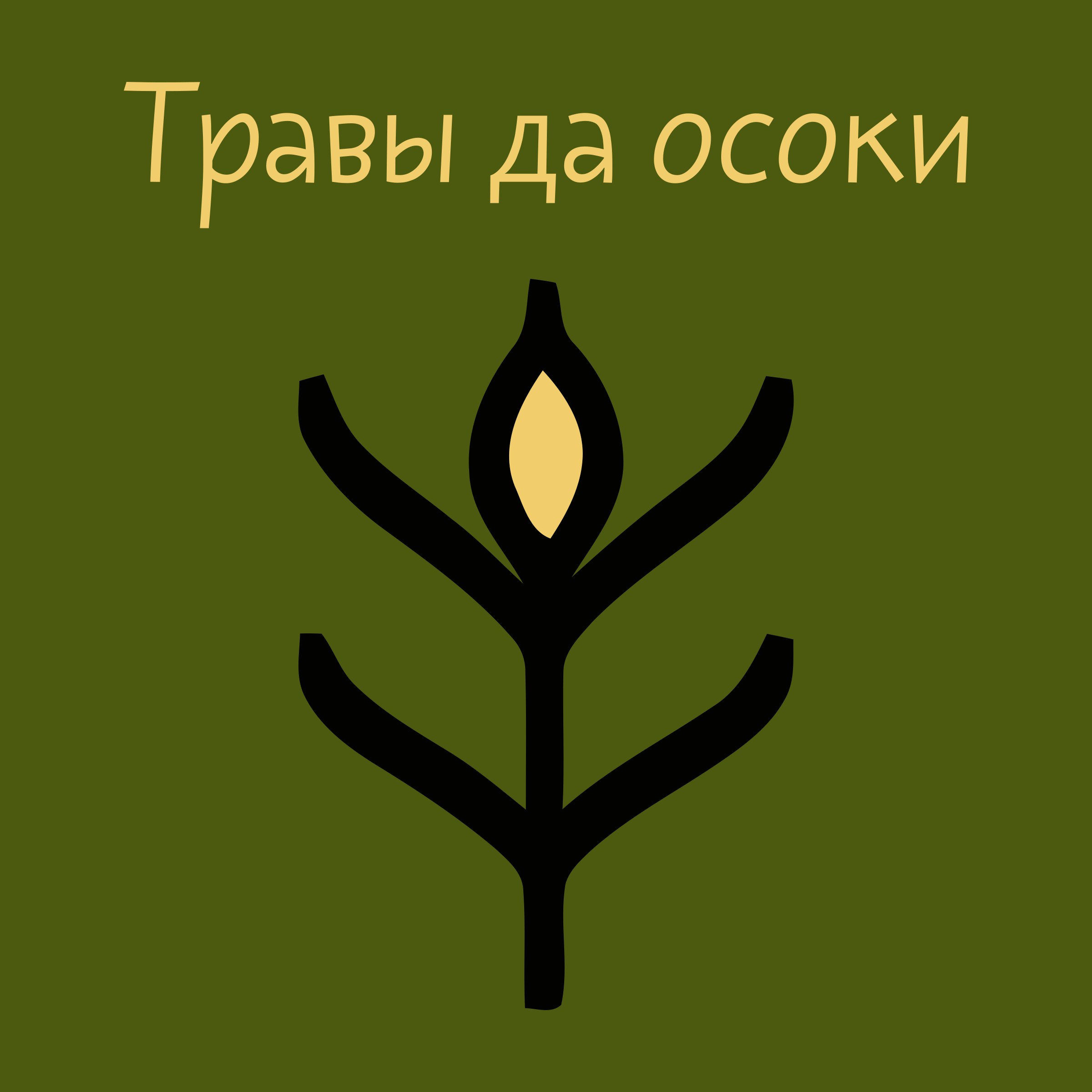 Company logo «Травы да осоки»