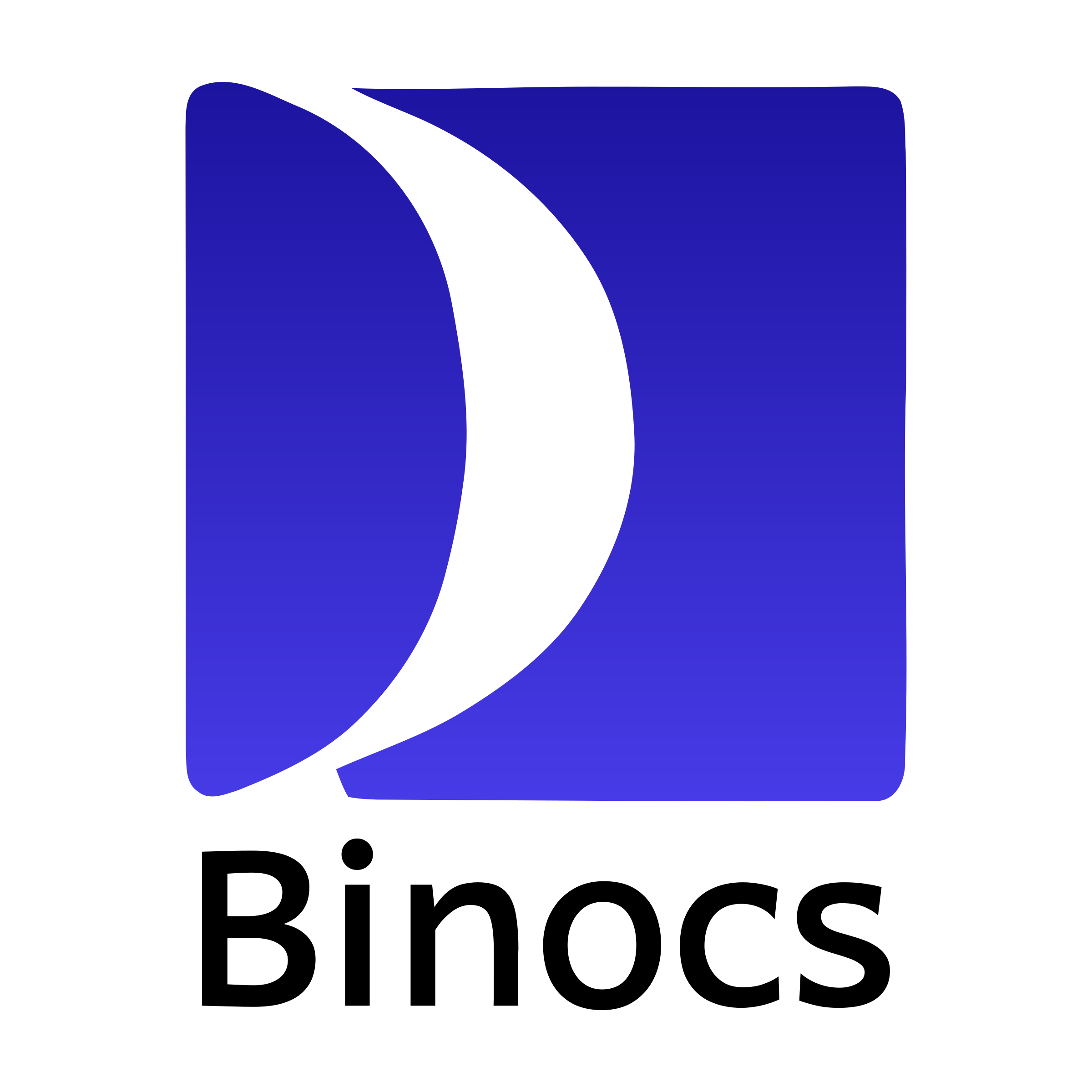 Company logo «Binocs»