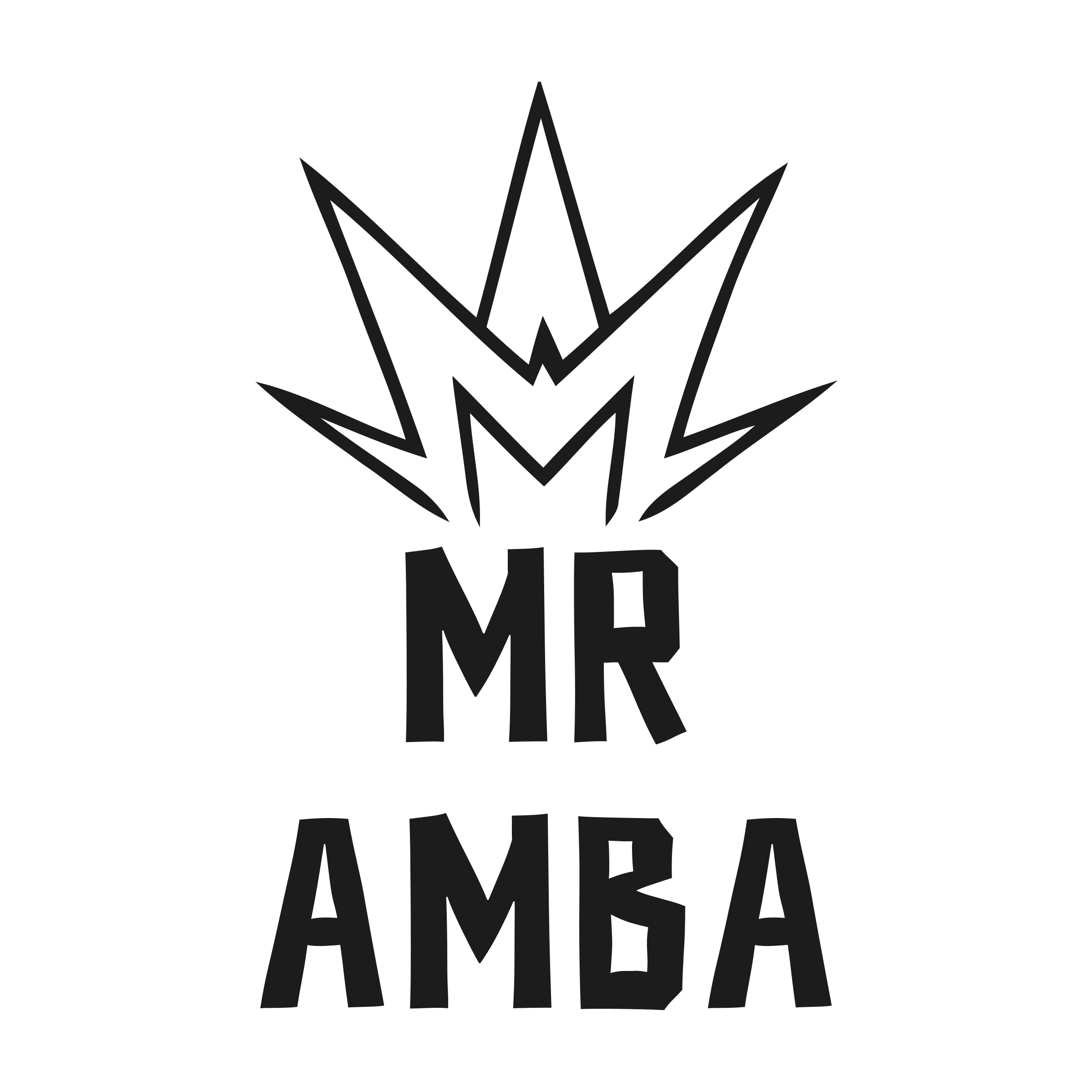 Логотип компании «Mr Amba»