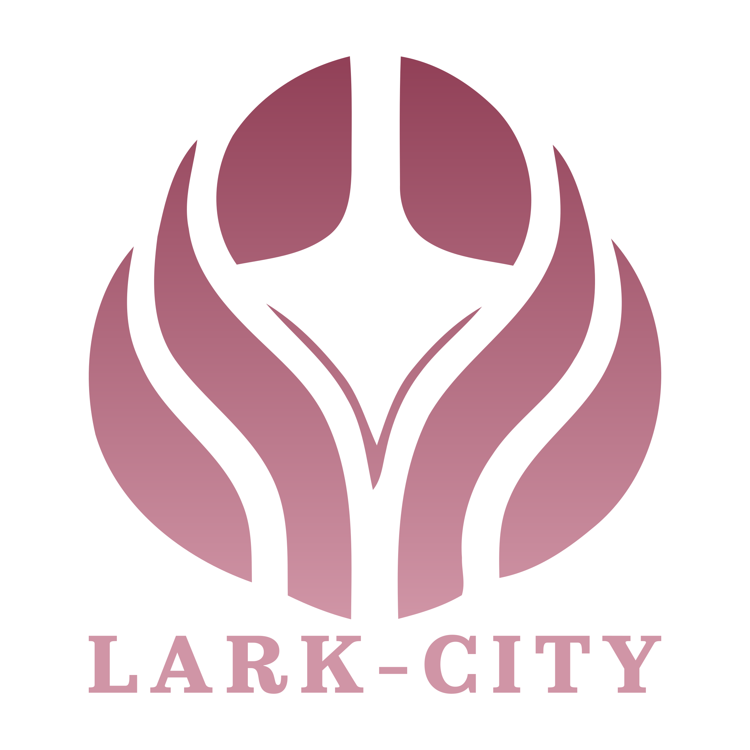 Company logo «LARK-CITY»