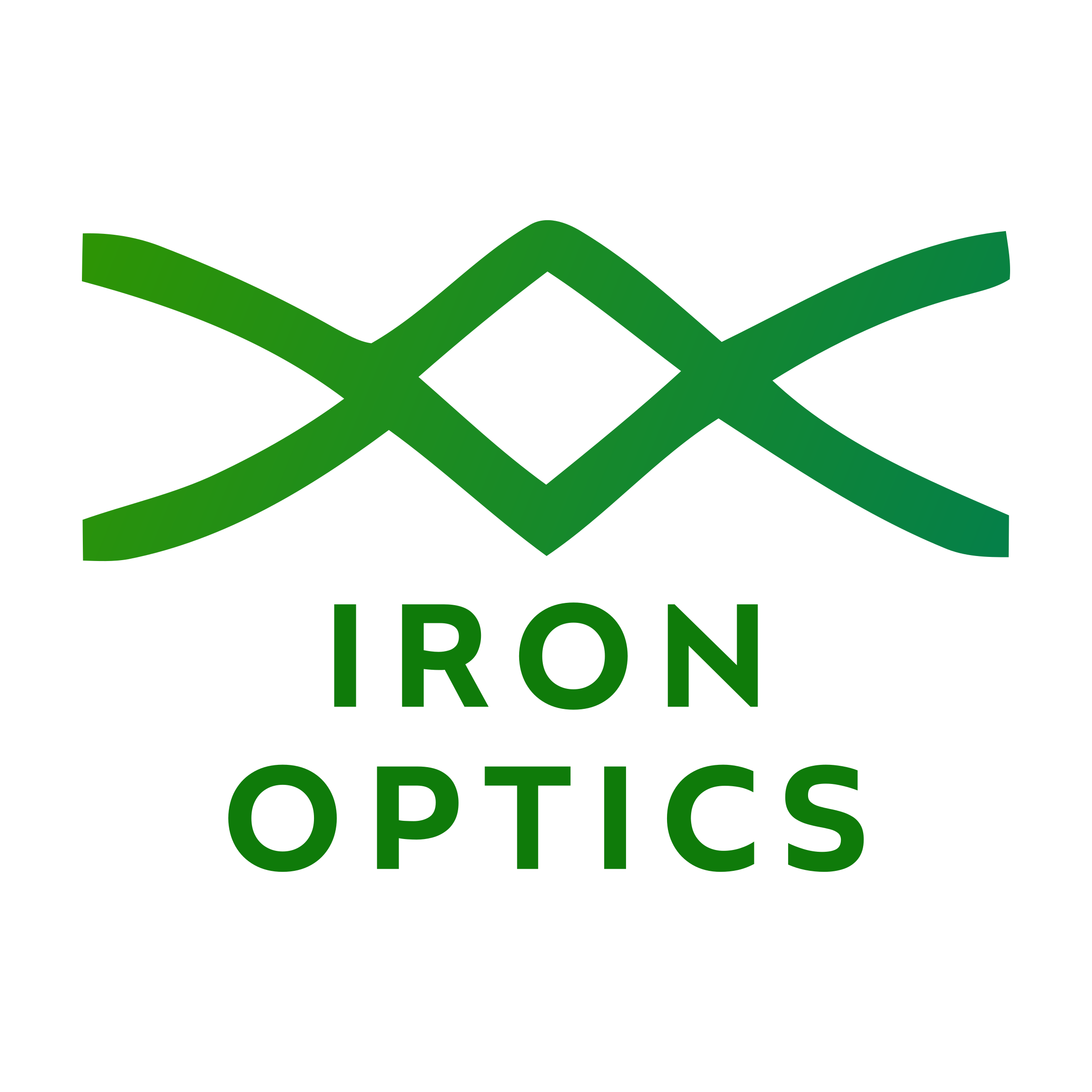 Логотип компании «IRON OPTICS»