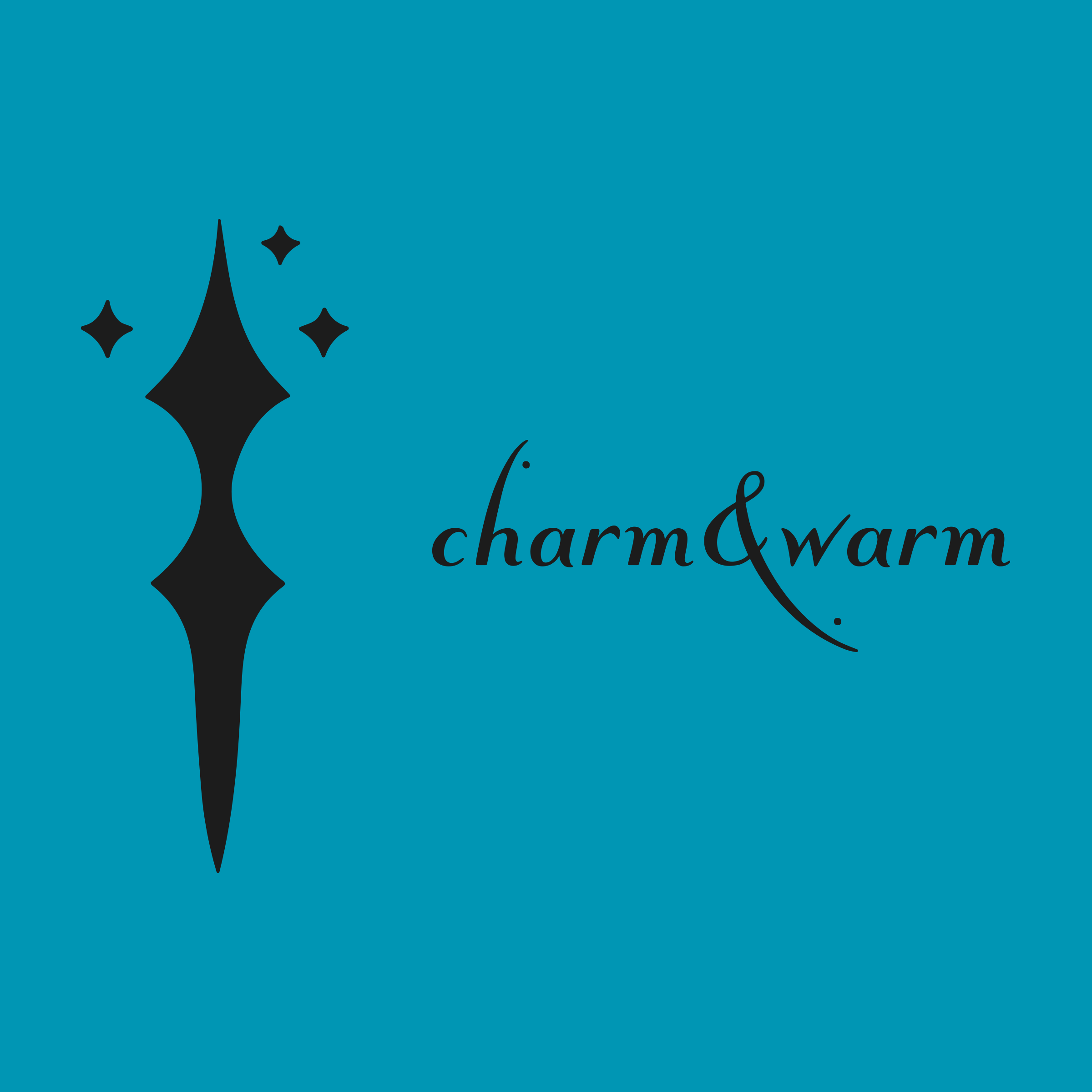 Company logo «charm & warm»