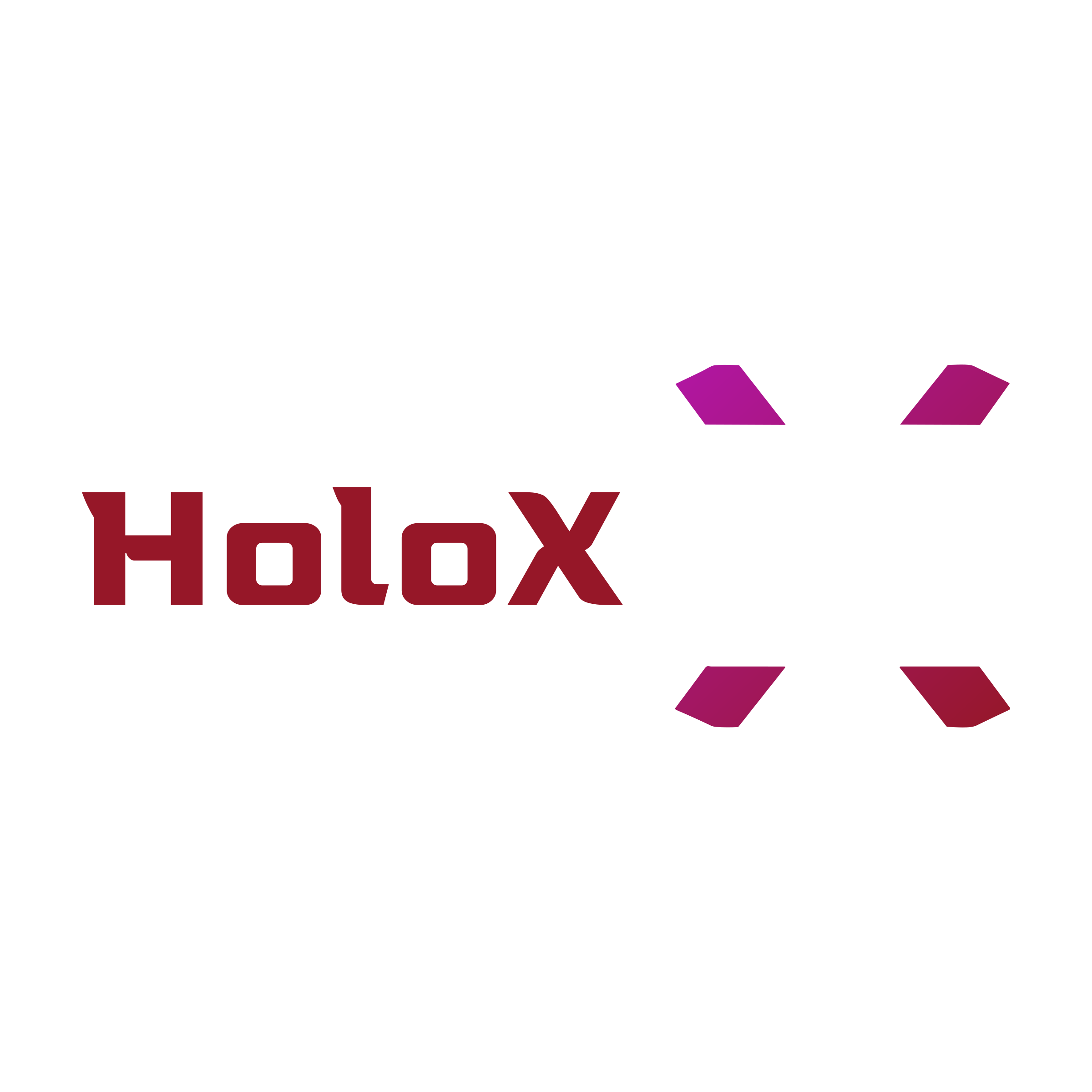 Company logo «HoloX»