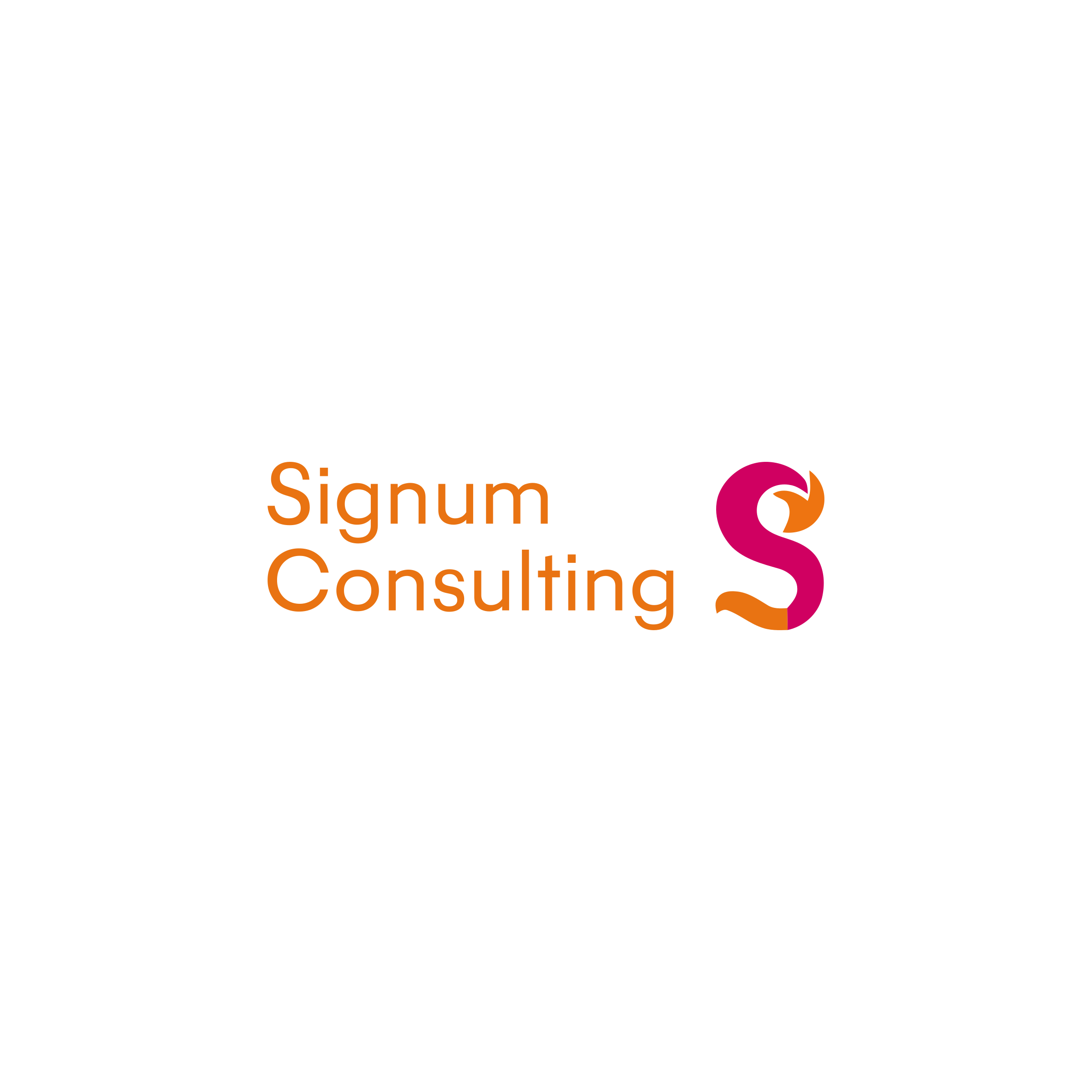 Логотип компании «Signum Consulting»