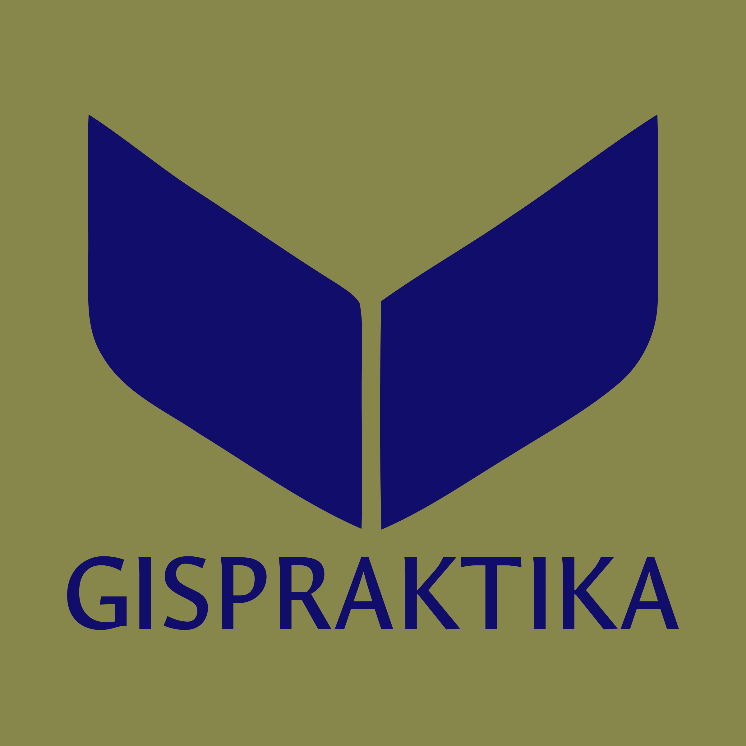 Логотип компании «GISPRAKTIKA»