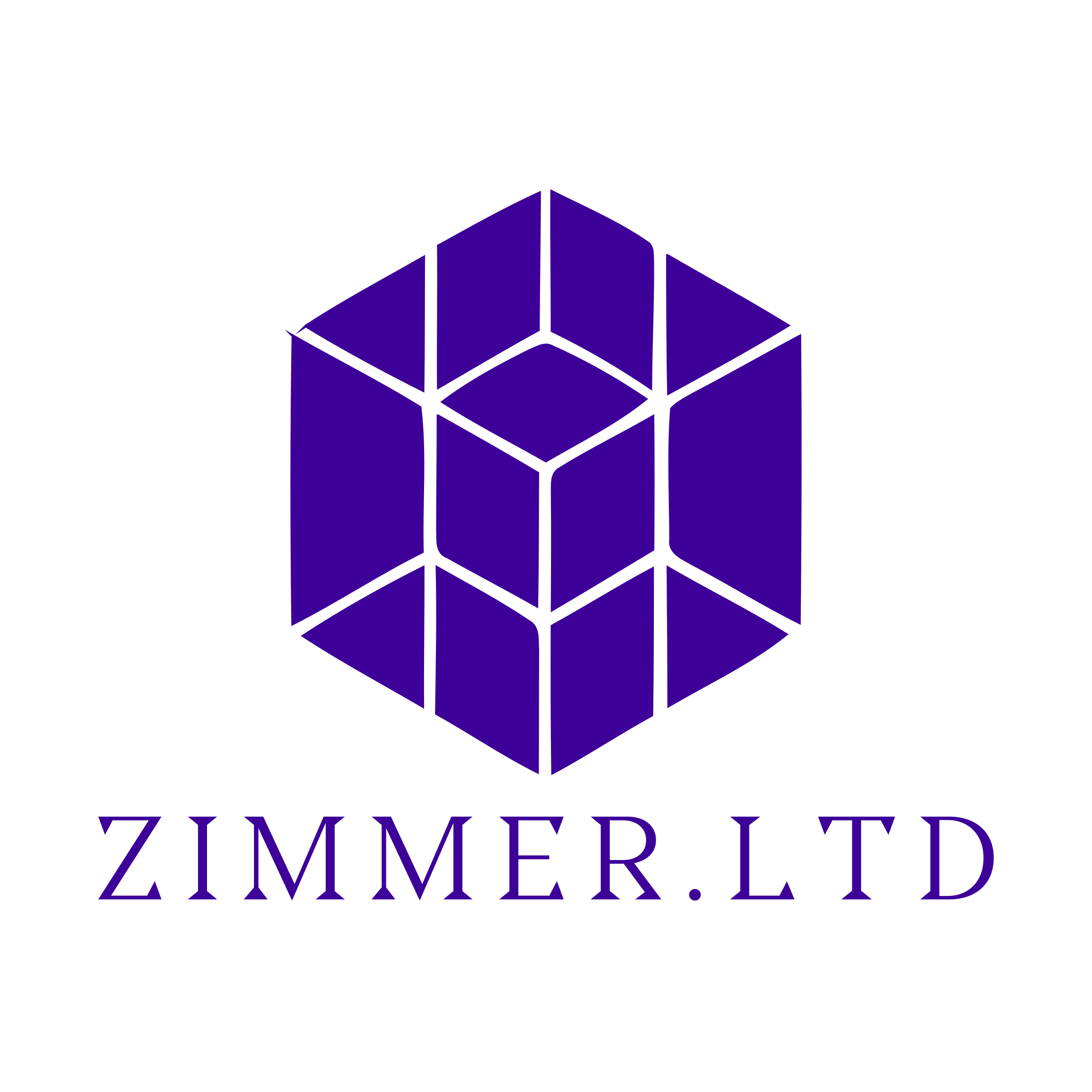 Логотип компании «Zimmer.LTD»