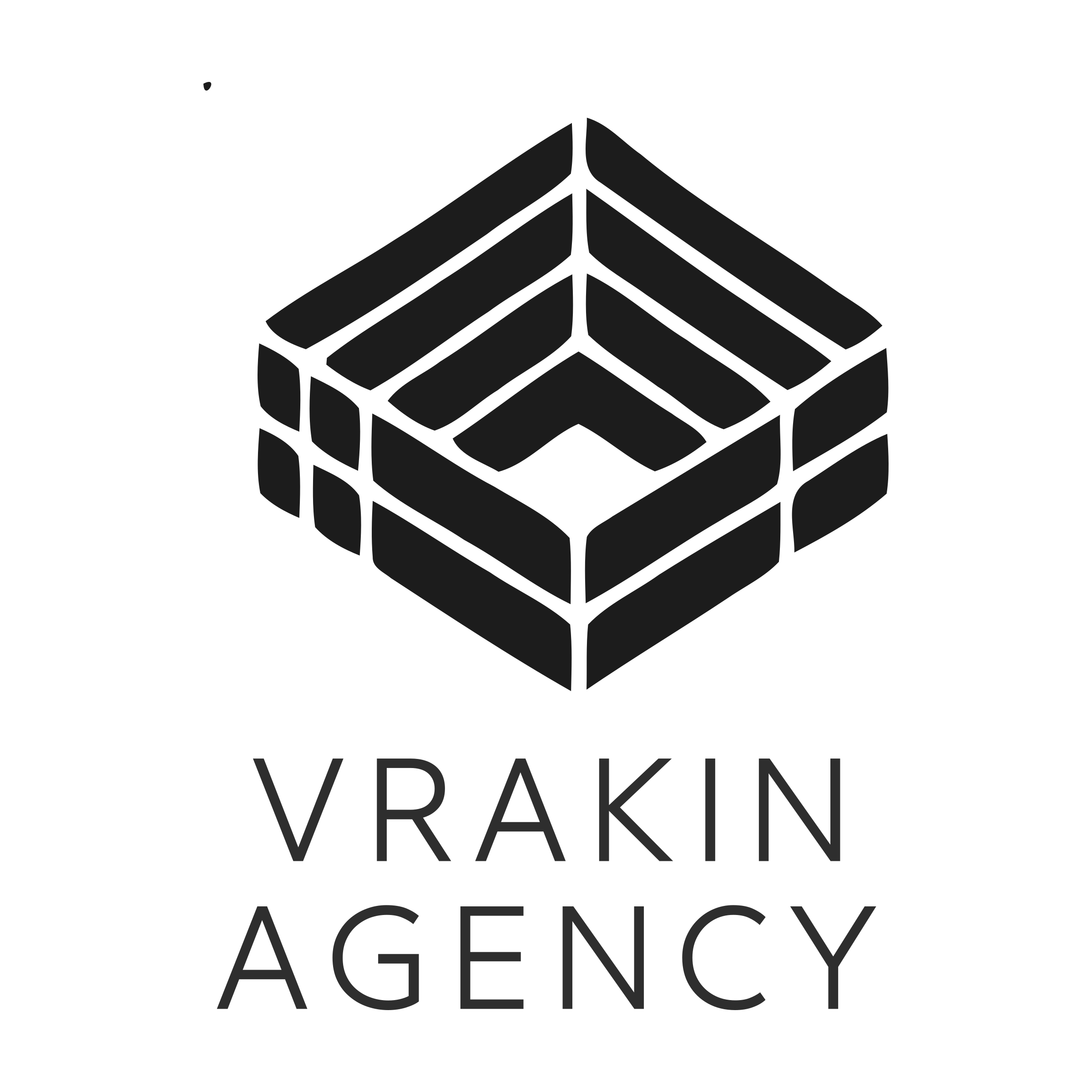 Logo of vrakin agency