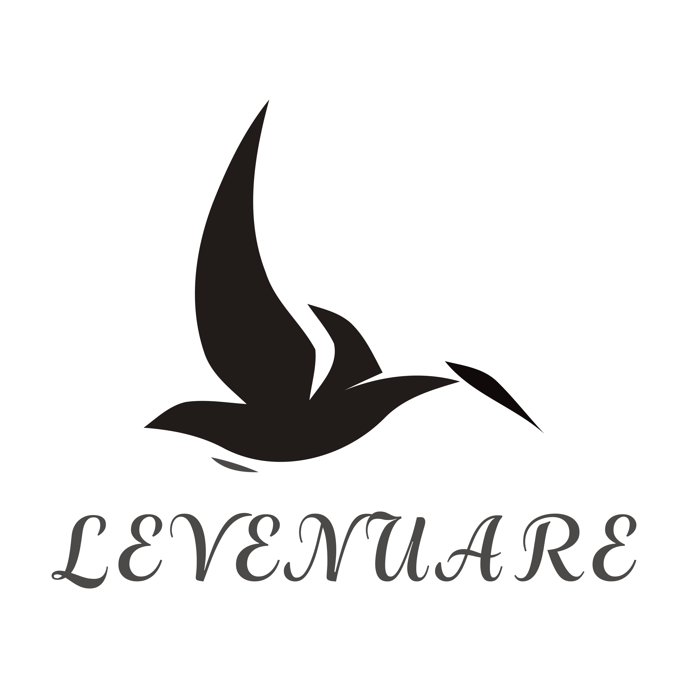 Логотип компании «Levenuare»