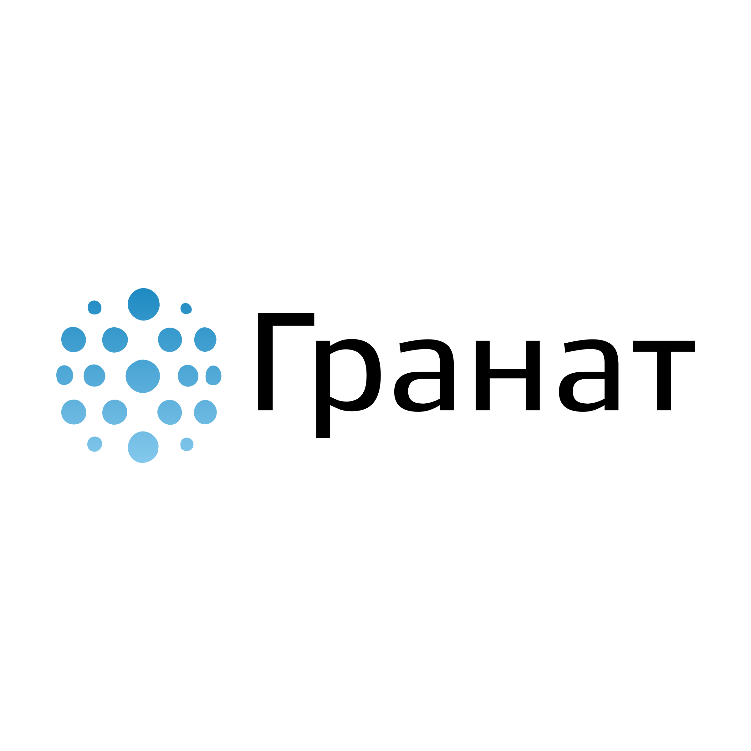 Логотип компании «Гранат»