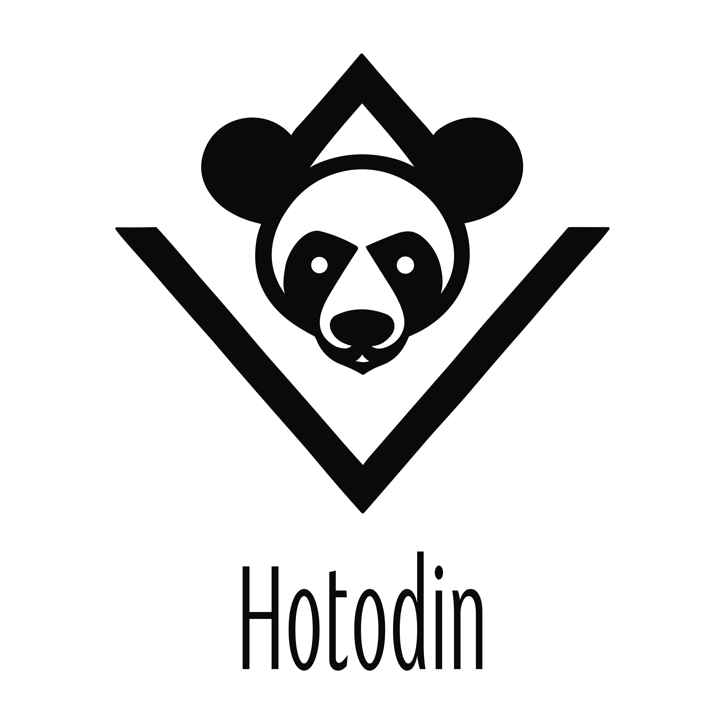 Company logo «Hotodin»