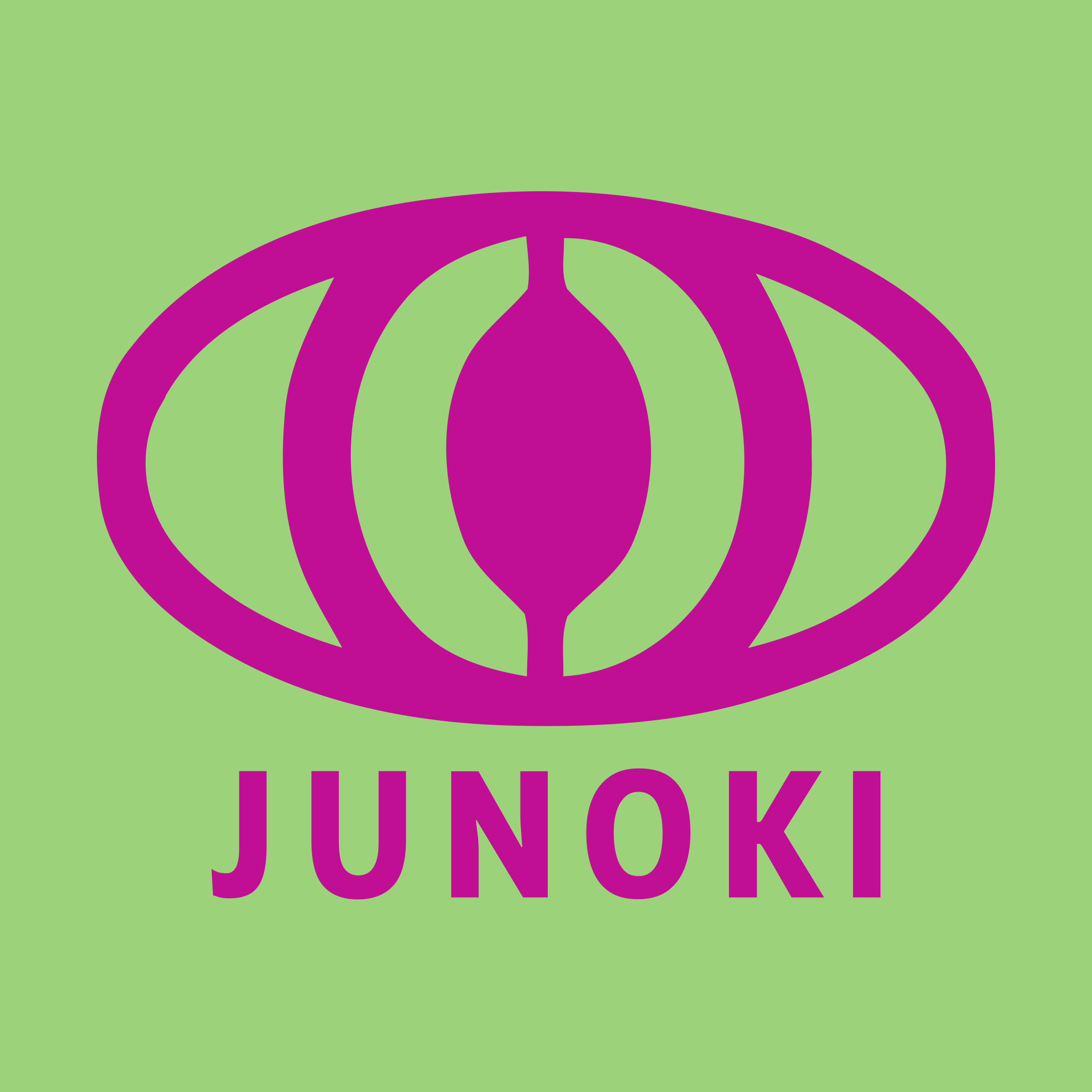 Логотип компании «Junoki»