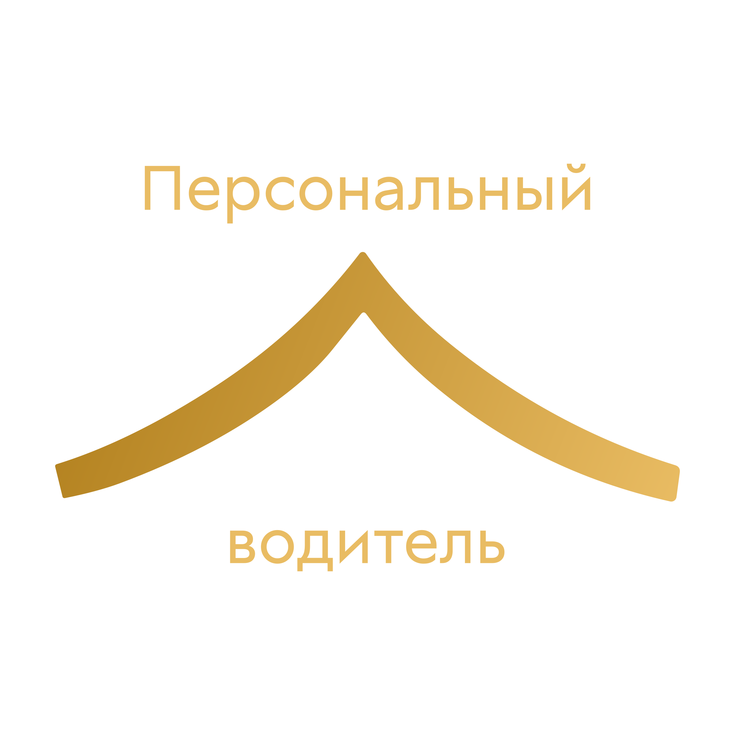 Company logo «Персональный водитель»