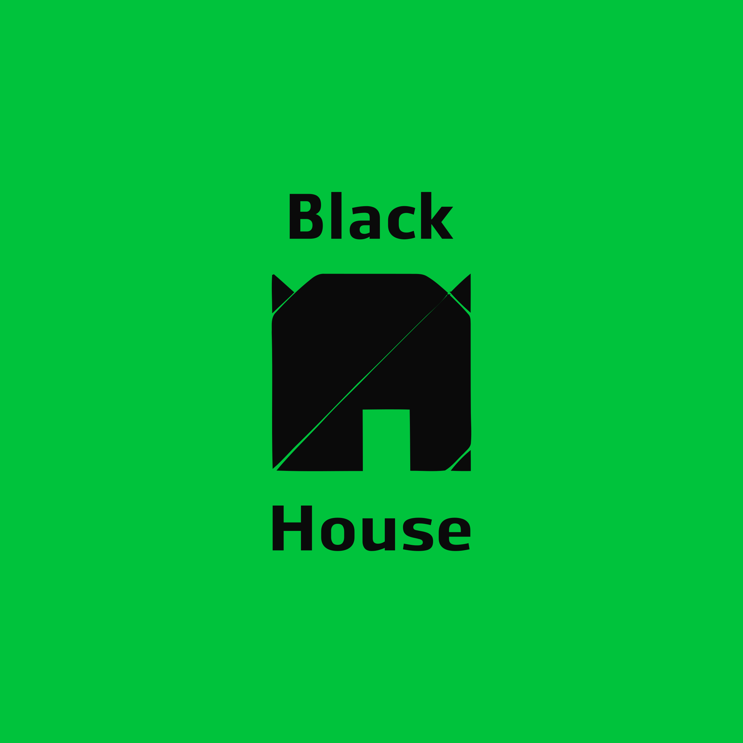 Логотип компании «Black House»