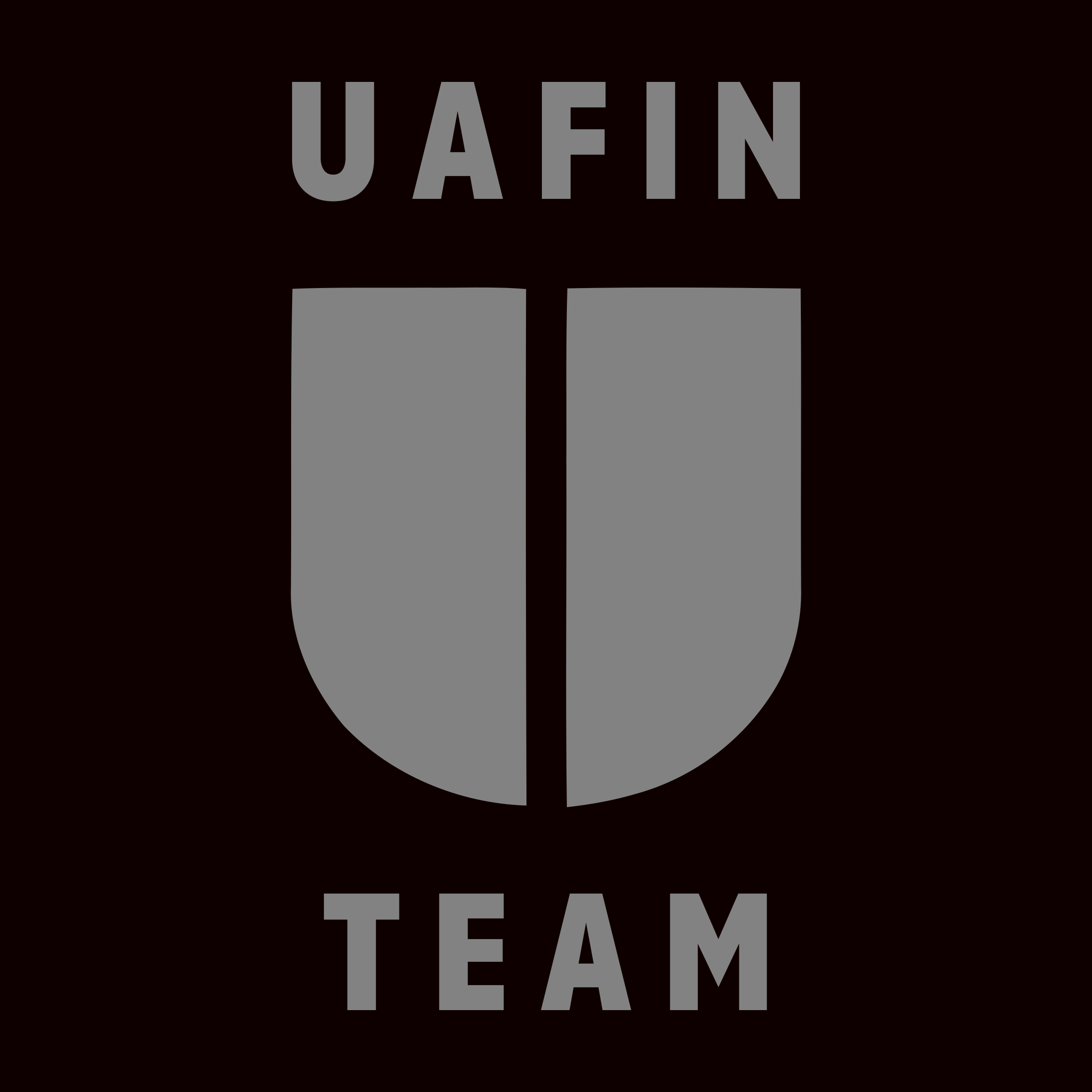 Logo of UAFIN TEAM