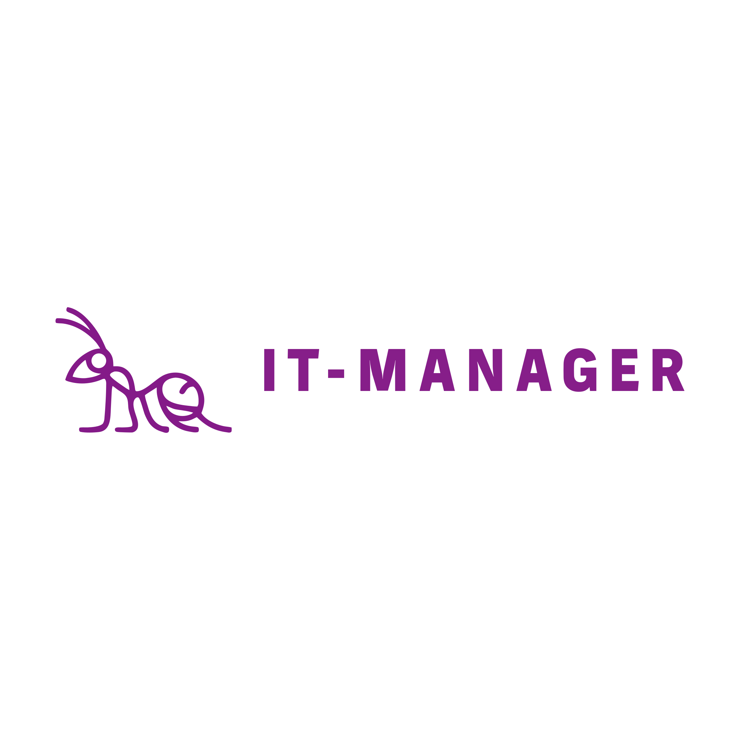 Logo of iT-Manager