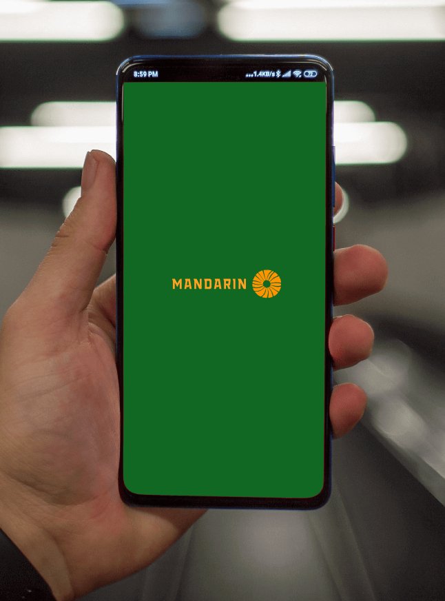Company logo «Mandarin» 1