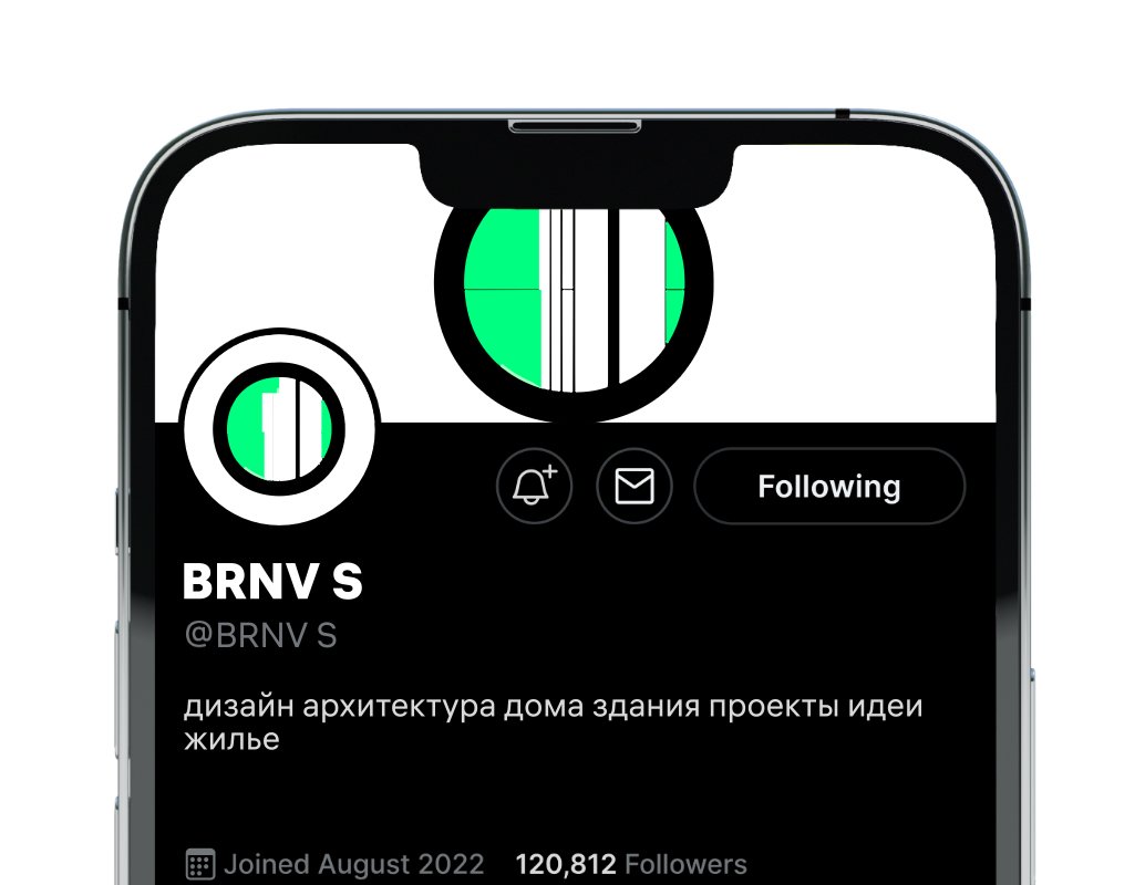 Company logo «BRNV S» 1