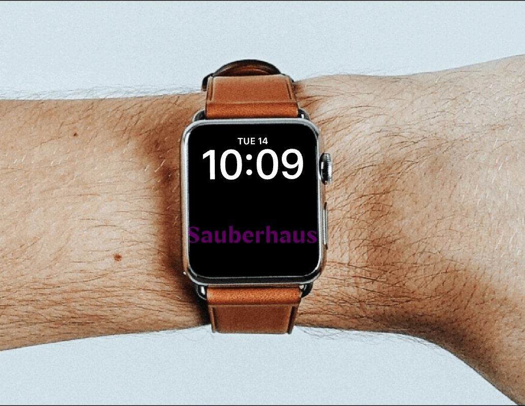 Company logo «Sauberhaus» 1