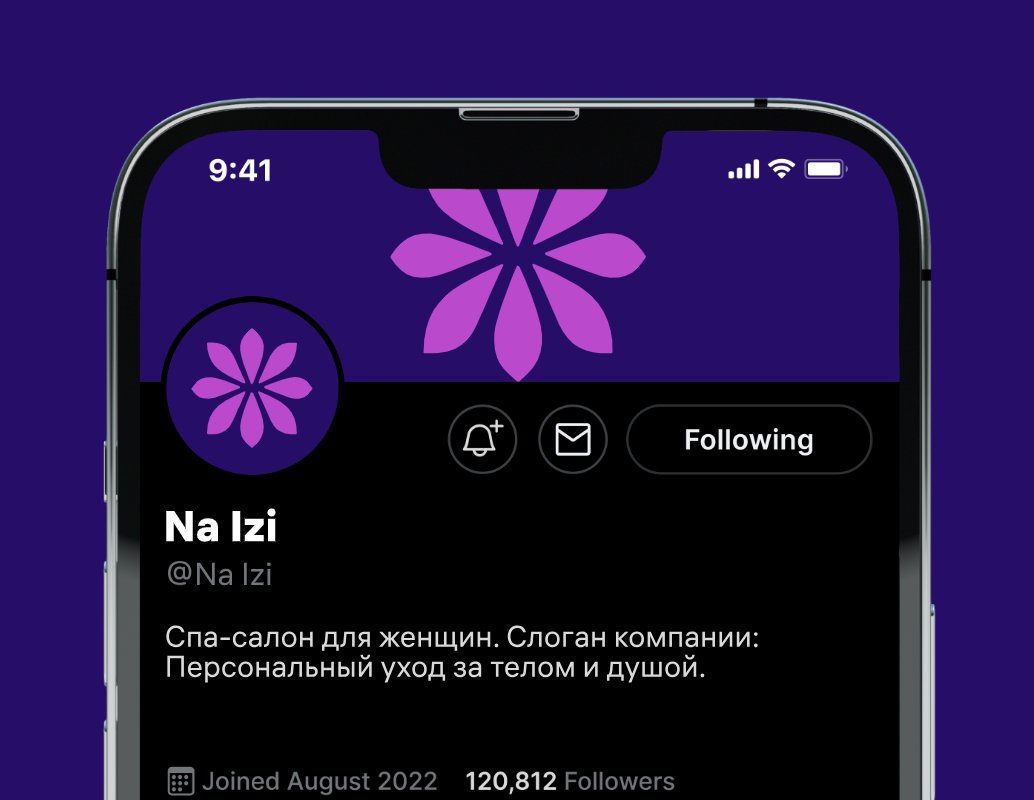 Company logo «Na Izi» 1