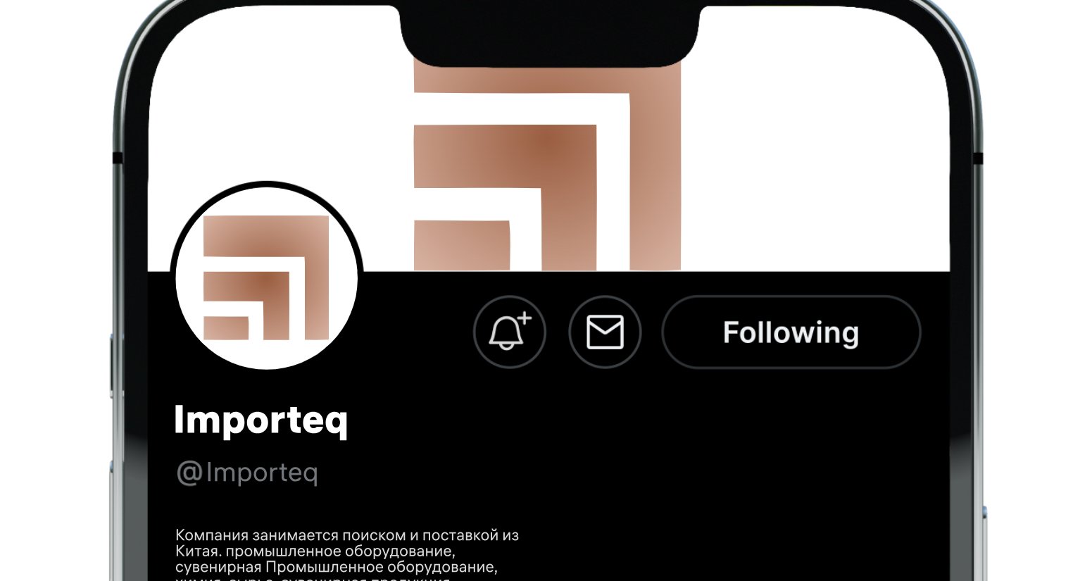 Company logo «Importeq» 1