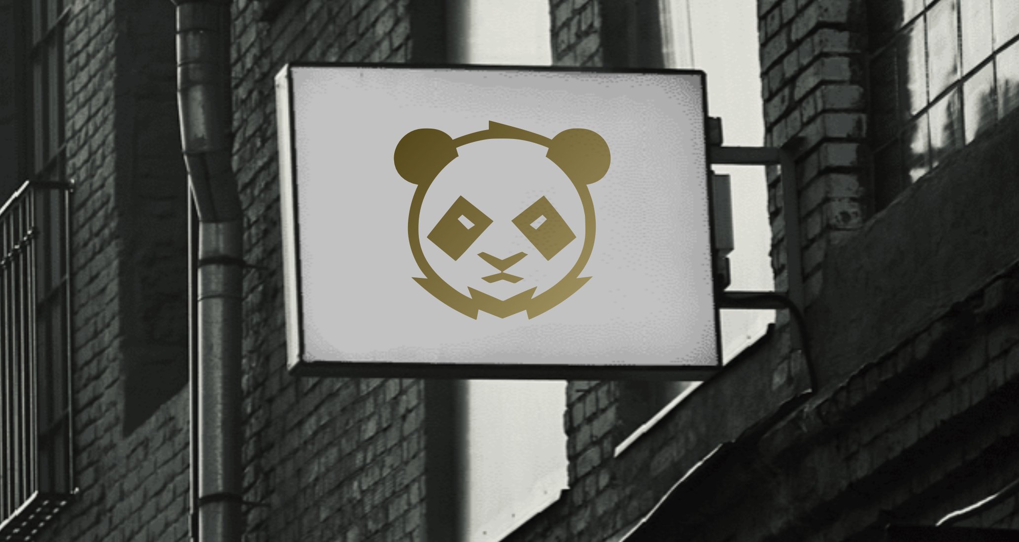 Company logo «DUDUPANDA» 4