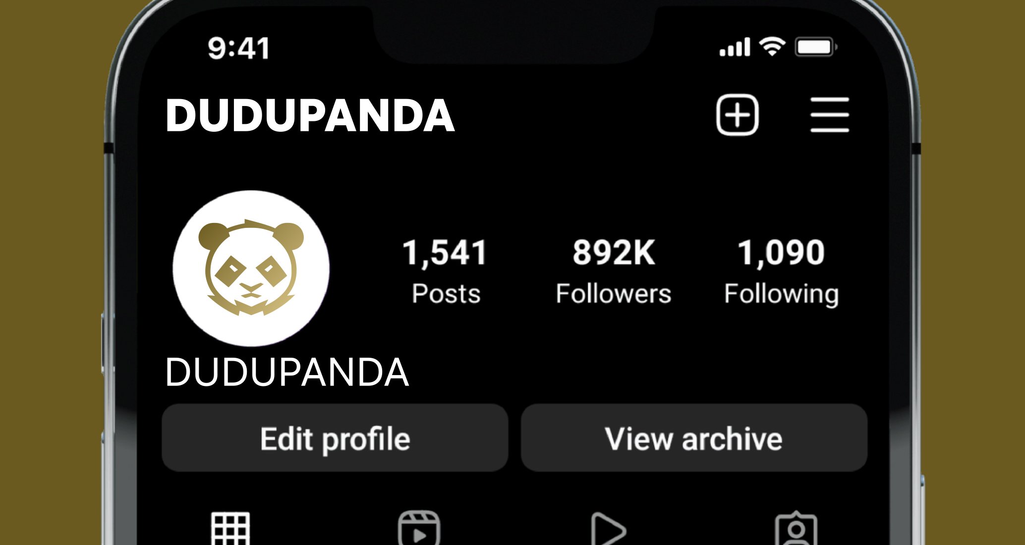 Company logo «DUDUPANDA» 1