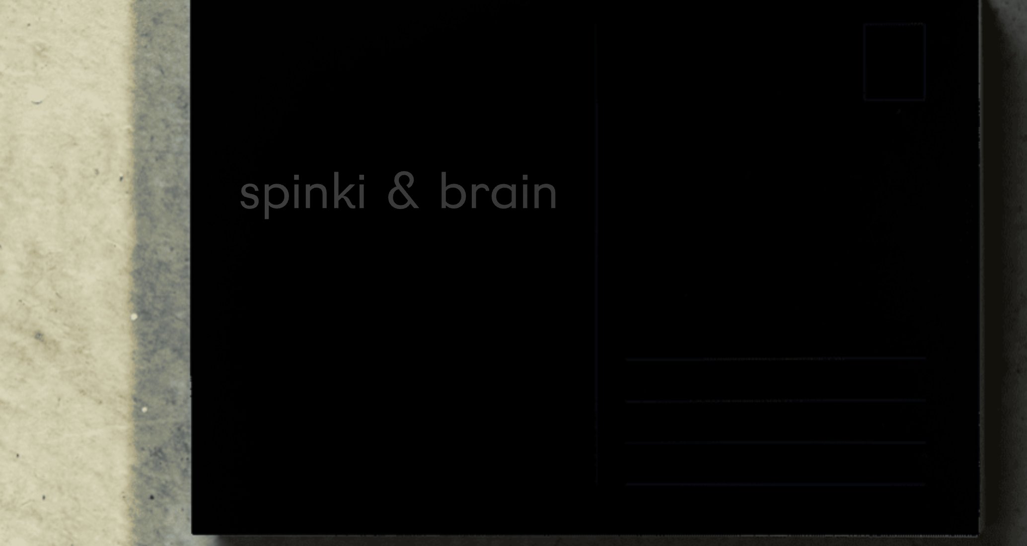 Company logo «spinki & brain» 4