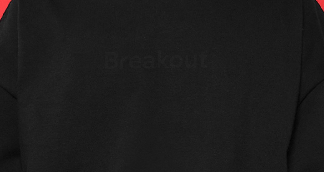 Company logo «Breakout» 3