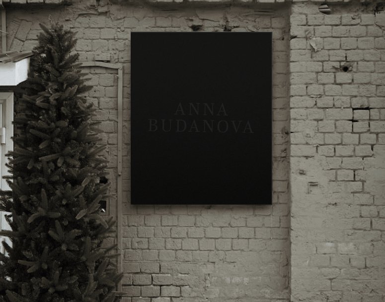 Company logo «Anna Budanova» 4