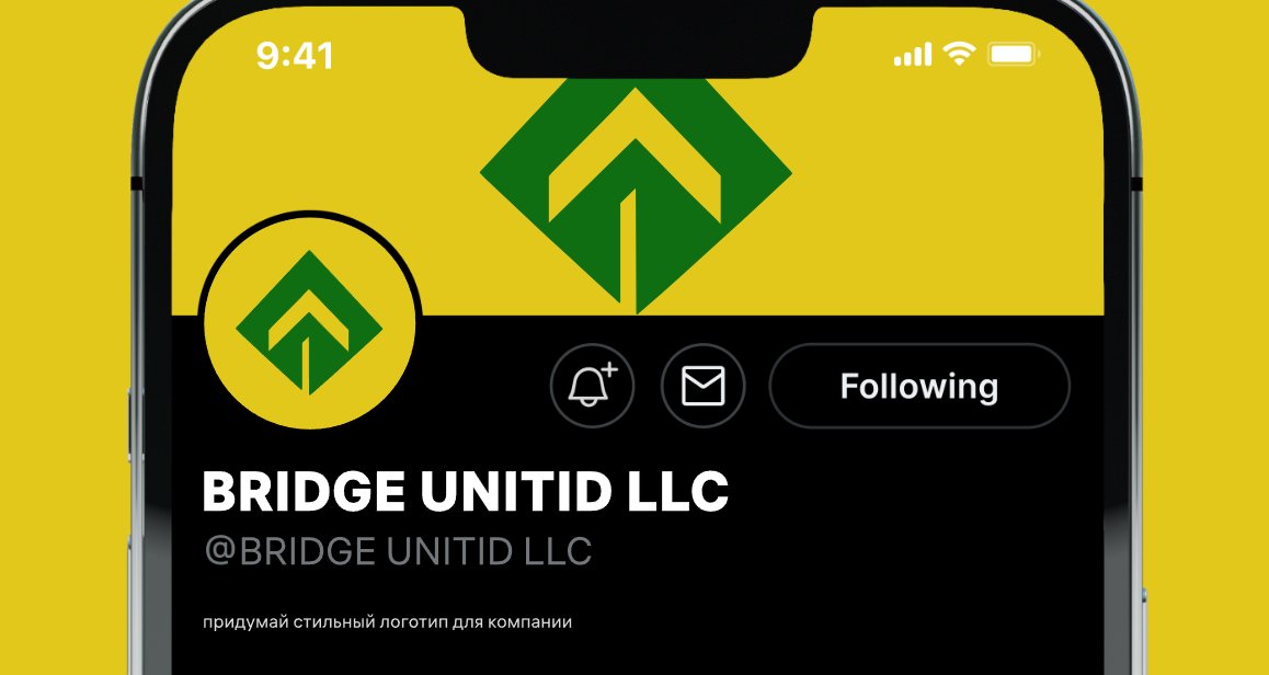 Company logo «BRIDGE UNITID LLC» 1