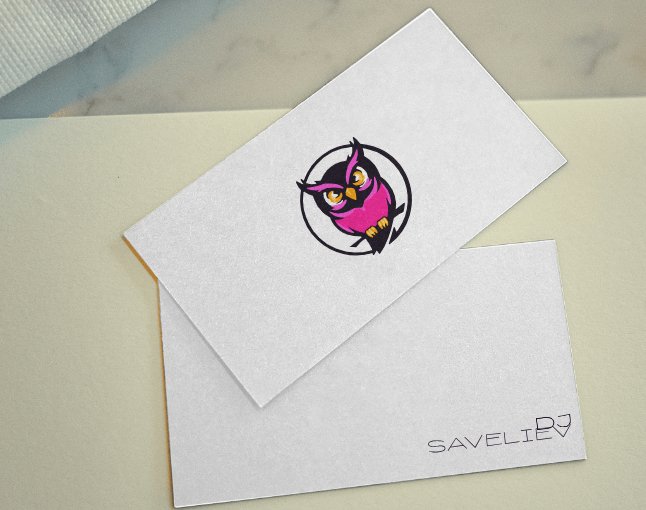 Logo of Dj Saveliev