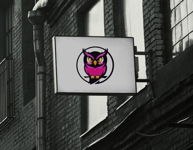Logo of Dj Saveliev
