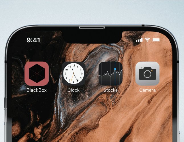 Company logo «BlackBox» 1