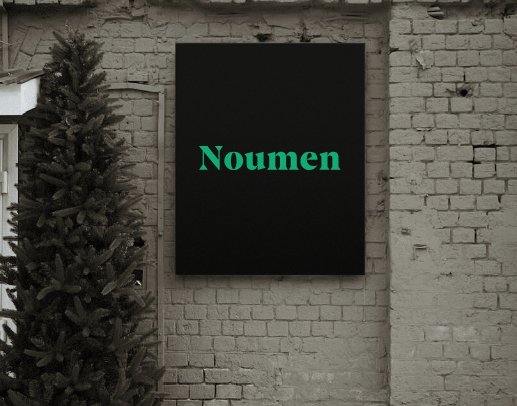 Company logo «Noumen» 4