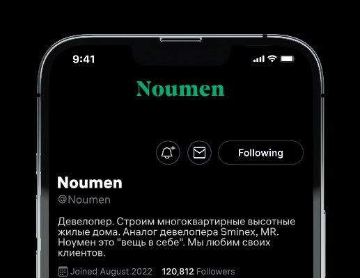 Company logo «Noumen» 1