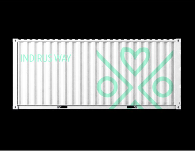 Company logo «INDIRUS WAY» 2