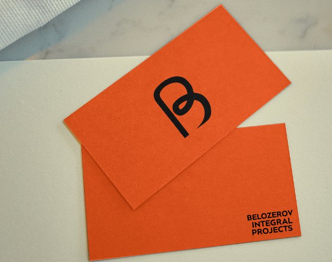 Company logo «BELOZEROV INTEGRAL PROJECTS» 3
