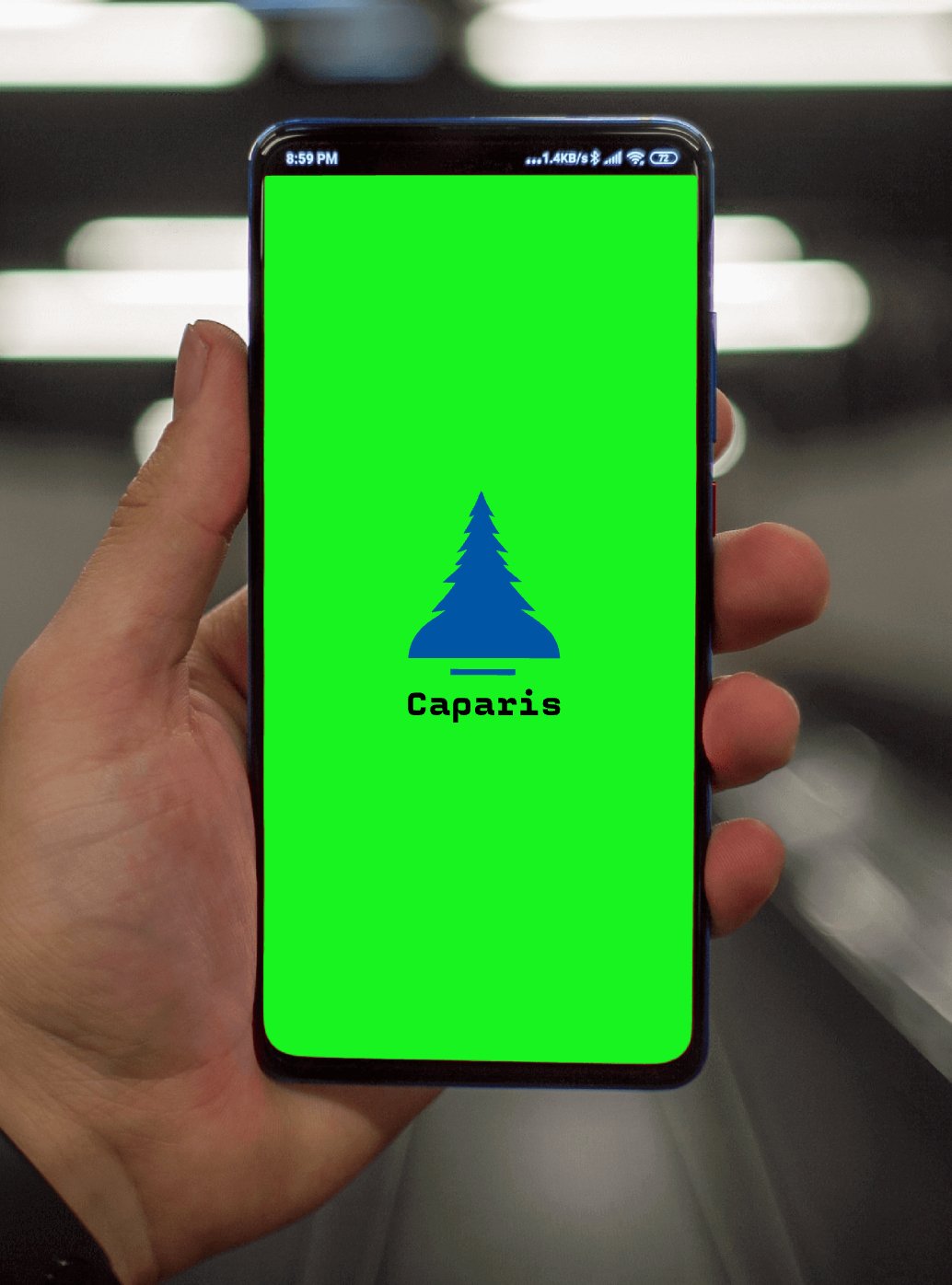 Company logo «Caparis» 1