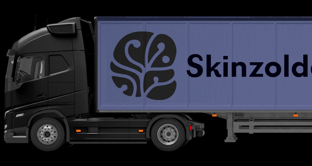 Company logo «Skinzolda» 2