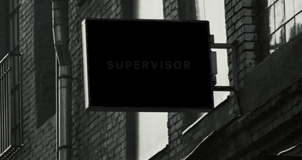 Company logo «SUPERVISOR» 4