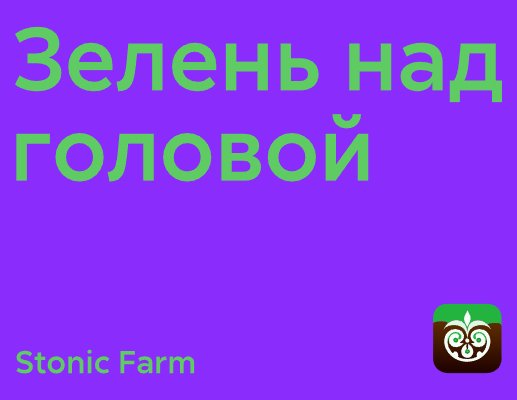 Company logo «Stonic Farm» 5