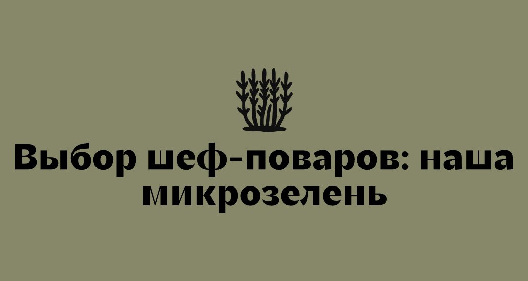 Logo of KKgrow