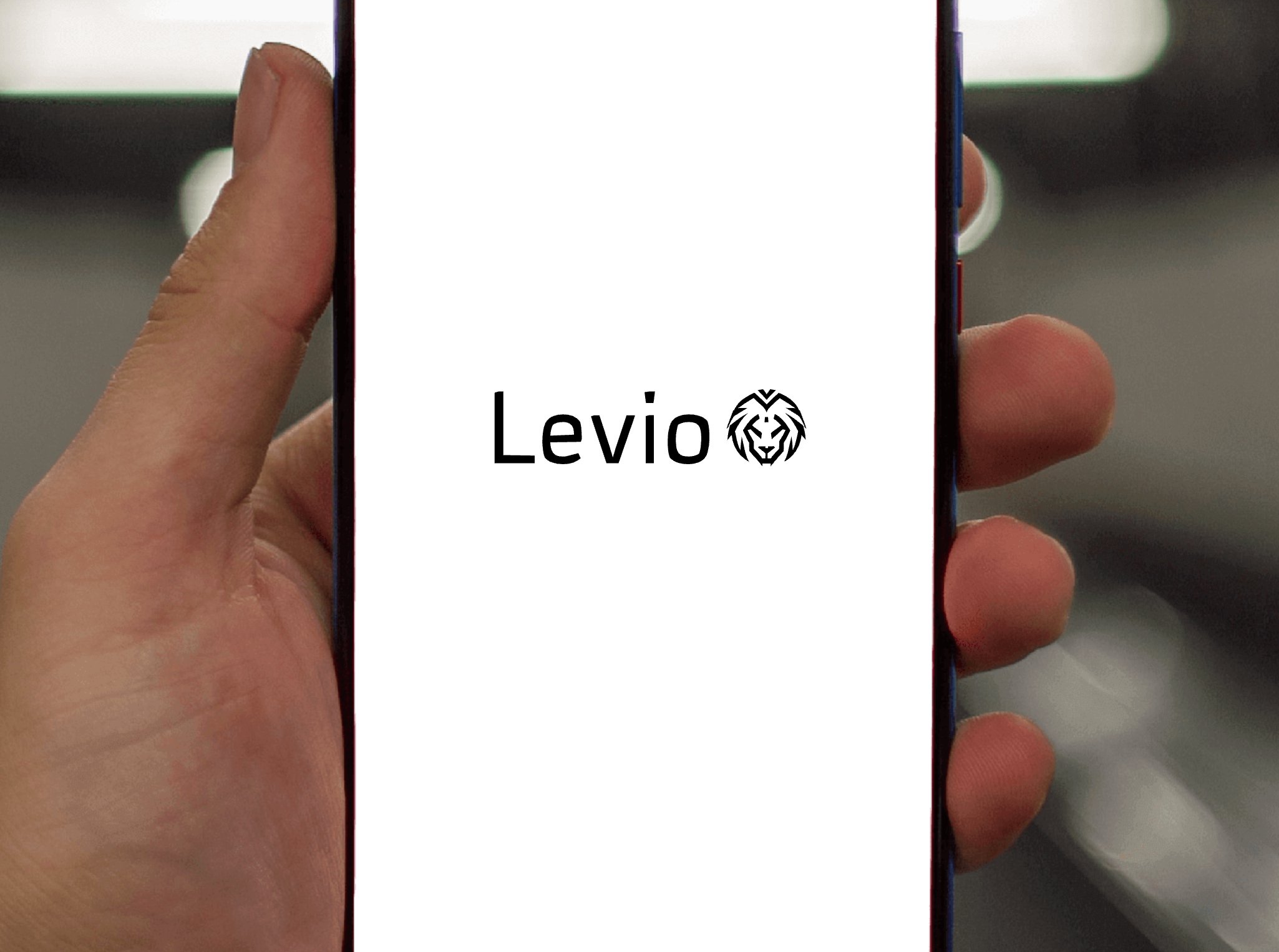 Company logo «Levio» 1
