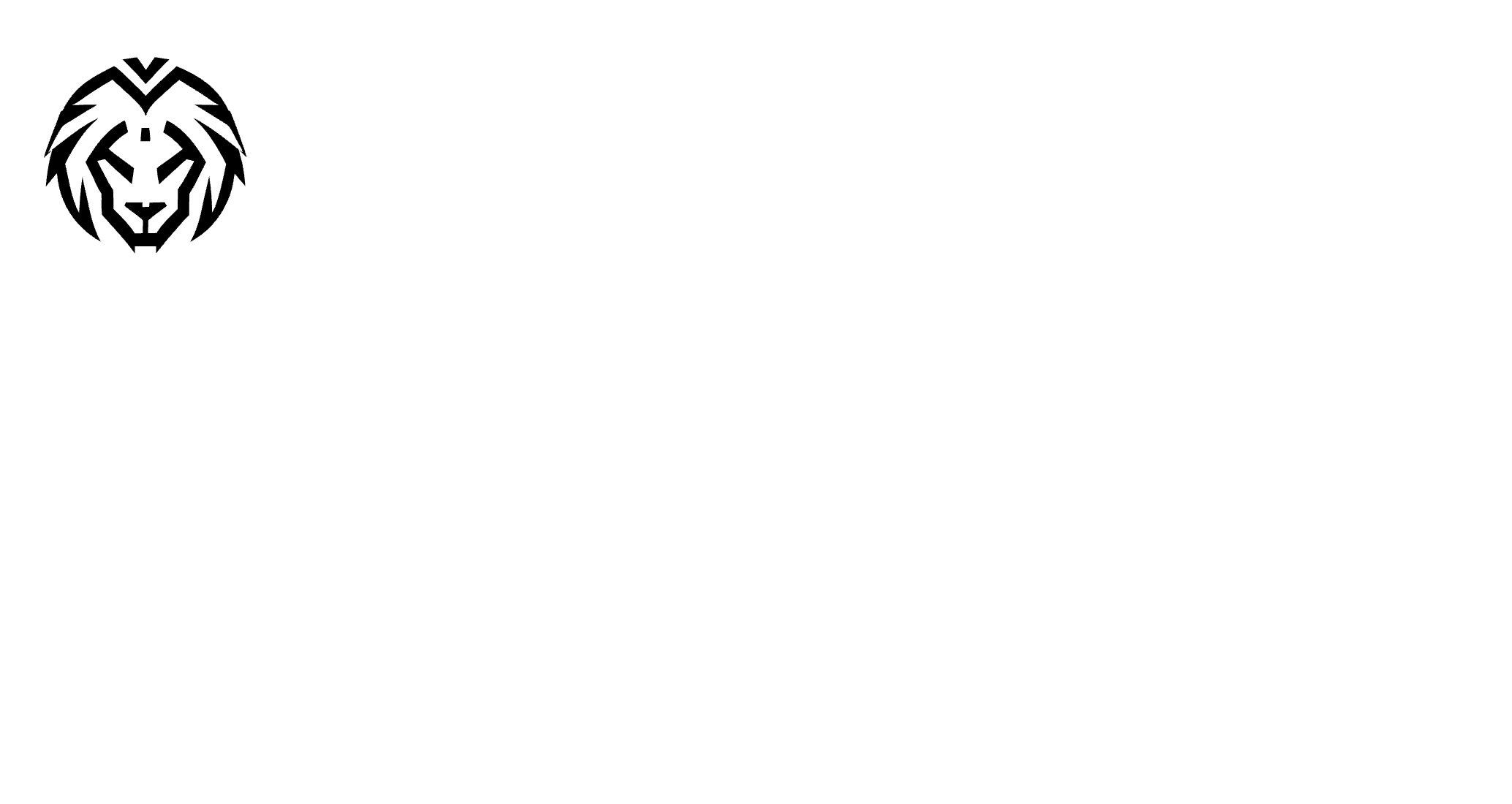 Company logo «Levio» 5