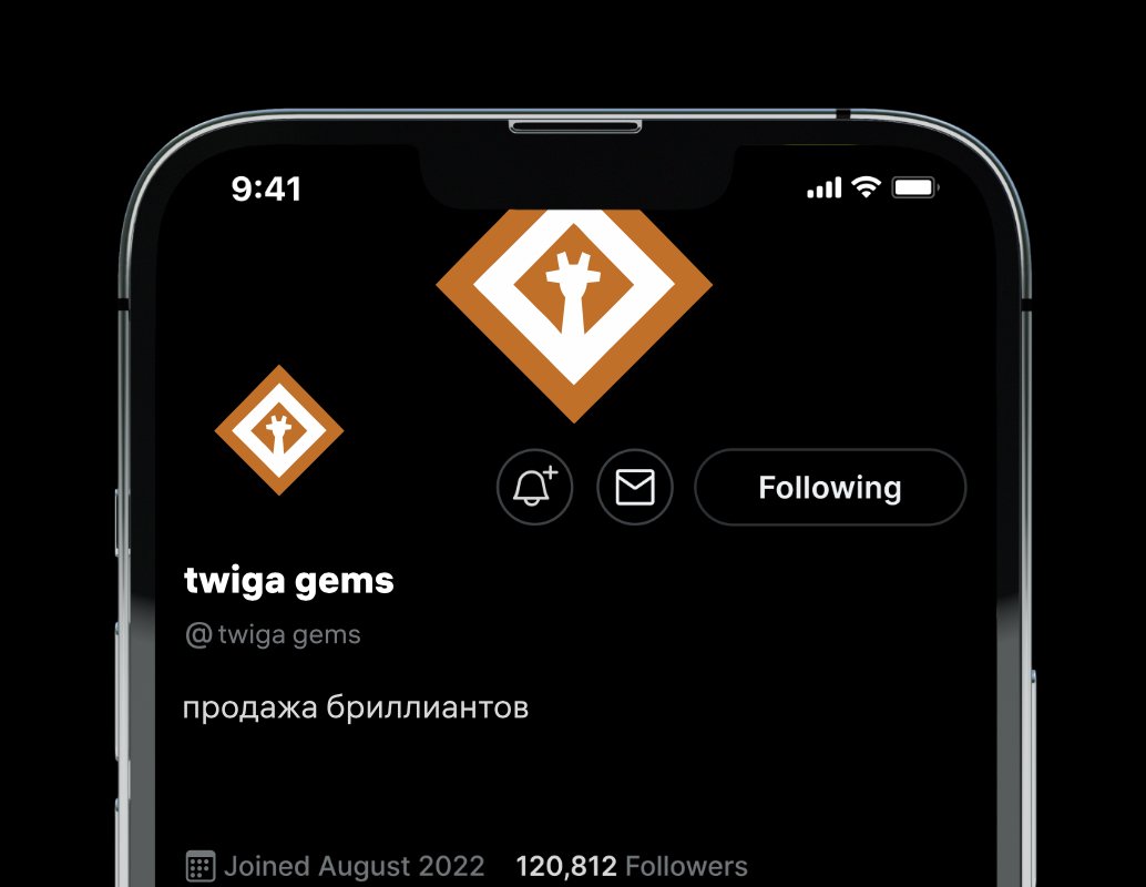 Company logo «twiga gems» 1
